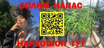 дмт Донской