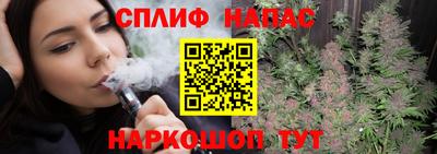 дмт Донской